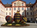 Insel-Mainau-23-03-2012-Bodensee-Community-SEECHAT_DE-_110.JPG