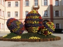 Insel-Mainau-23-03-2012-Bodensee-Community-SEECHAT_DE-_112.JPG