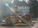 Insel-Mainau-23-03-2012-Bodensee-Community-SEECHAT_DE-_133.JPG