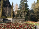 Insel-Mainau-23-03-2012-Bodensee-Community-SEECHAT_DE-_150.JPG