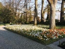 Insel-Mainau-23-03-2012-Bodensee-Community-SEECHAT_DE-_154.JPG