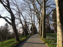 Insel-Mainau-23-03-2012-Bodensee-Community-SEECHAT_DE-_159.JPG