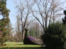 Insel-Mainau-23-03-2012-Bodensee-Community-SEECHAT_DE-_50.JPG