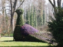 Insel-Mainau-23-03-2012-Bodensee-Community-SEECHAT_DE-_51.JPG