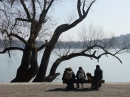 Insel-Mainau-23-03-2012-Bodensee-Community-SEECHAT_DE-_58.JPG