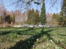 Insel-Mainau-23-03-2012-Bodensee-Community-SEECHAT_DE-_59.JPG