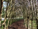 Insel-Mainau-23-03-2012-Bodensee-Community-SEECHAT_DE-_61.JPG