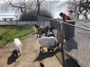 Insel-Mainau-23-03-2012-Bodensee-Community-SEECHAT_DE-_70.JPG