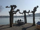 Insel-Mainau-23-03-2012-Bodensee-Community-SEECHAT_DE-_77.JPG