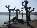 Insel-Mainau-23-03-2012-Bodensee-Community-SEECHAT_DE-_78.JPG