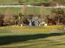 Insel-Mainau-23-03-2012-Bodensee-Community-SEECHAT_DE-_93.JPG