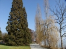 Insel-Mainau-23-03-2012-Bodensee-Community-SEECHAT_DE-_94.JPG