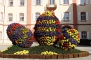 X2-Insel-Mainau-23-03-2012-Bodensee-Community-SEECHAT_DE-_165.JPG