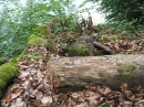 Marienschlucht-Wanderung-27042012-Bodensee-Community_SEECHAT_DE-IMG_8739.JPG