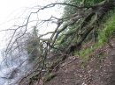 Marienschlucht-Wanderung-27042012-Bodensee-Community_SEECHAT_DE-IMG_8748.JPG