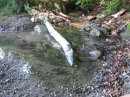 Marienschlucht-Wanderung-27042012-Bodensee-Community_SEECHAT_DE-IMG_8755.JPG