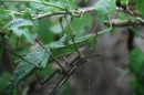 Zoo-Zuerich-26042012-Bodensee-Community_SEECHAT_DE-_155.jpg