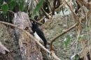 Zoo-Zuerich-26042012-Bodensee-Community_SEECHAT_DE-_158.jpg