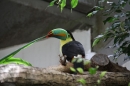 Zoo-Zuerich-26042012-Bodensee-Community_SEECHAT_DE-_45.jpg