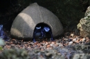 Zoo-Zuerich-26042012-Bodensee-Community_SEECHAT_DE-_54.jpg