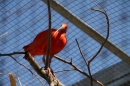 Zoo-Zuerich-26042012-Bodensee-Community_SEECHAT_DE-_55.jpg