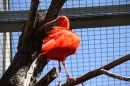 Zoo-Zuerich-26042012-Bodensee-Community_SEECHAT_DE-_57.jpg