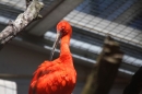 Zoo-Zuerich-26042012-Bodensee-Community_SEECHAT_DE-_58.jpg