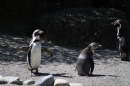 Zoo-Zuerich-26042012-Bodensee-Community_SEECHAT_DE-_59.jpg