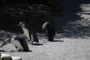 Zoo-Zuerich-26042012-Bodensee-Community_SEECHAT_DE-_60.jpg