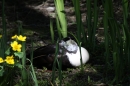 Zoo-Zuerich-26042012-Bodensee-Community_SEECHAT_DE-_63.jpg