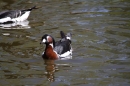 Zoo-Zuerich-26042012-Bodensee-Community_SEECHAT_DE-_66.jpg