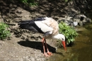 Zoo-Zuerich-26042012-Bodensee-Community_SEECHAT_DE-_71.jpg