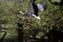 Zoo-Zuerich-26042012-Bodensee-Community_SEECHAT_DE-_73.jpg