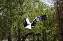 Zoo-Zuerich-26042012-Bodensee-Community_SEECHAT_DE-_74.jpg