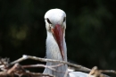 Zoo-Zuerich-26042012-Bodensee-Community_SEECHAT_DE-_75.jpg