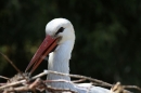 Zoo-Zuerich-26042012-Bodensee-Community_SEECHAT_DE-_78.jpg