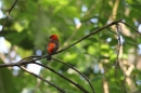 Zoo-Zuerich-26042012-Bodensee-Community_SEECHAT_DE-_80.jpg