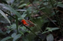 Zoo-Zuerich-26042012-Bodensee-Community_SEECHAT_DE-_81.jpg