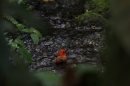 Zoo-Zuerich-26042012-Bodensee-Community_SEECHAT_DE-_82.jpg