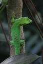 Zoo-Zuerich-26042012-Bodensee-Community_SEECHAT_DE-_86.jpg