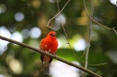 Zoo-Zuerich-26042012-Bodensee-Community_SEECHAT_DE-_87.jpg