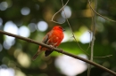 Zoo-Zuerich-26042012-Bodensee-Community_SEECHAT_DE-_88.jpg