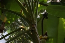 Zoo-Zuerich-26042012-Bodensee-Community_SEECHAT_DE-_90.jpg