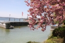 41-Internationale-Bodensee-Flottensternfahrt-Meersburg-28042012-bodens_ee-SEECHAT_DE-IMG_5191.JPG