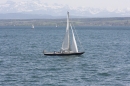 41-Internationale-Bodensee-Flottensternfahrt-Meersburg-28042012-bodens_ee-SEECHAT_DE-IMG_5639.JPG