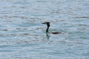 Bodenseewoche-2012-Konstanz-020612-Bodensee-Community-SEECHAT_DE-IMG_3285.JPG