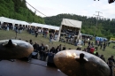 Rock-am-Neckar-Epfendorf-250512-Bodensee-Community-SEECHAT_DE-_61.JPG