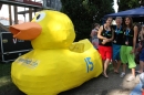 seechat_de-Ente-gut-Seehafenfliegen-Lindau-30062012-Bodensee-Community-SEECHAT_DE-IMG_9270.JPG