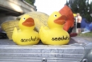 seechat_de-Ente-gut-Seehafenfliegen-Lindau-30062012-Bodensee-Community-SEECHAT_DE-P6300100.jpg