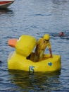 seechat_de-Ente-gut-Seehafenfliegen-Lindau-30062012-Bodensee-Community-SEECHAT_DE-_1981.JPG